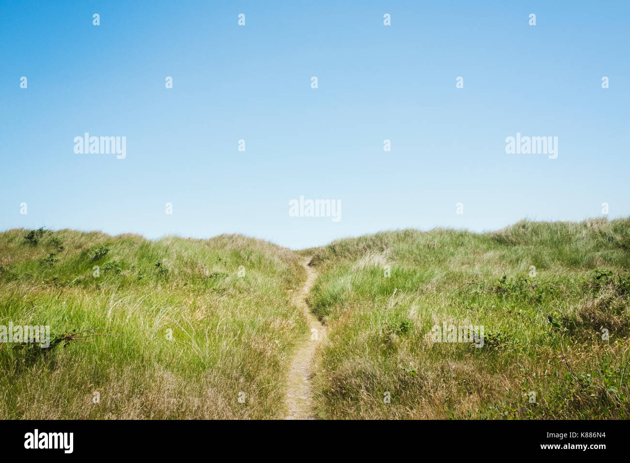 Landschaft mit einem Wanderweg schlängelt sich durch Sanddünen und Gras unter einem klaren blauen Himmel. Stockfoto