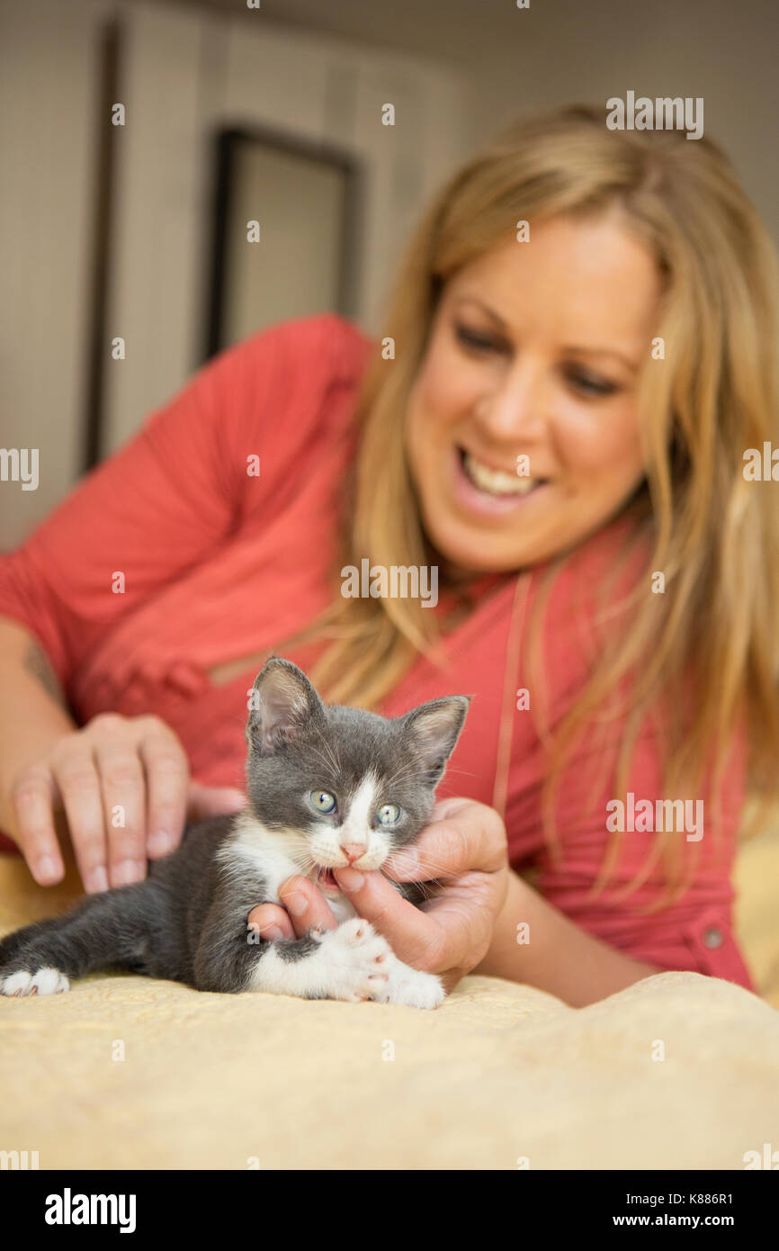 Eine Frau mit einem kleinen grauen und weißen Kätzchen. Stockfoto