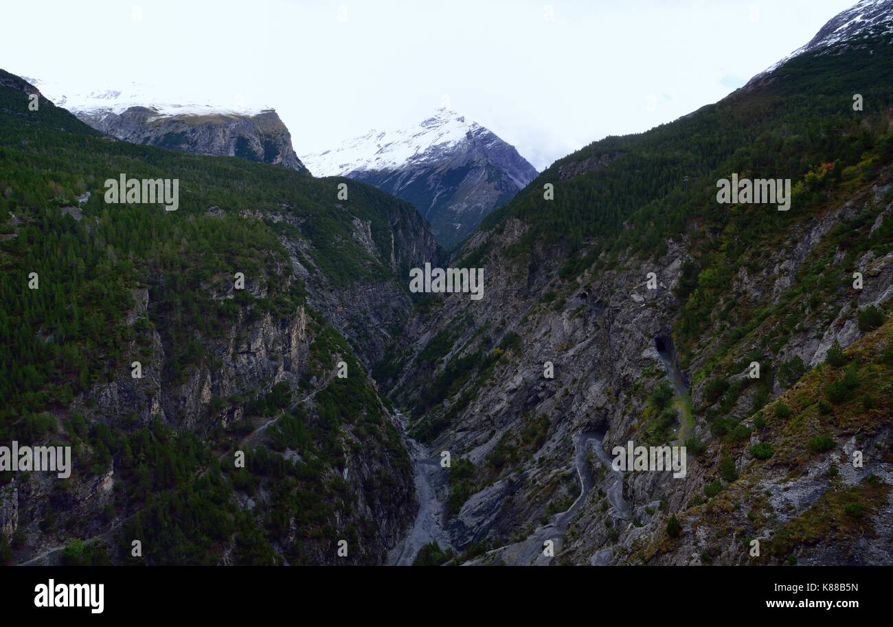 Valdidendro Fotos und Bildmaterial in hoher Auflösung Alamy