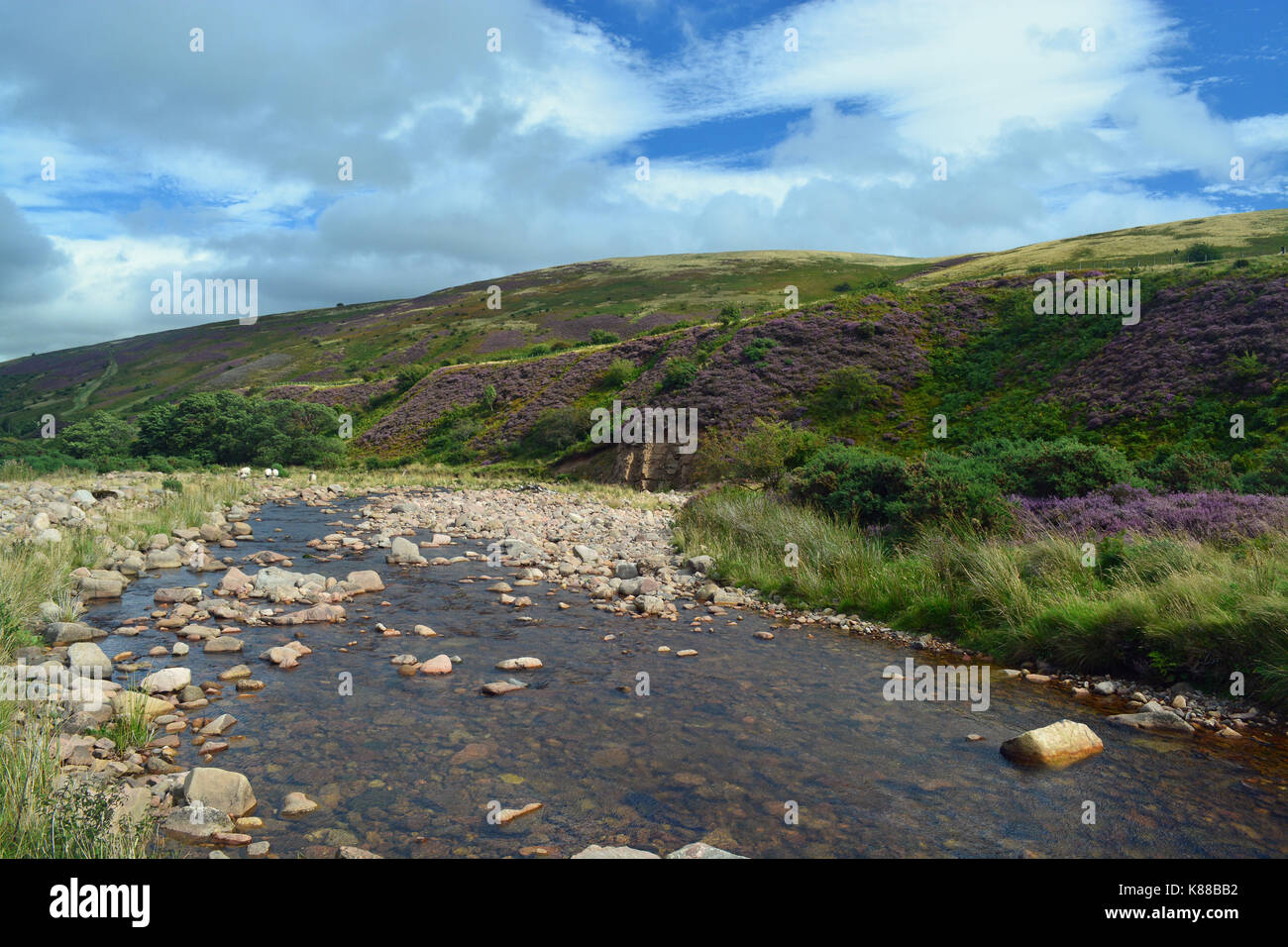 Harthope Tal, Northumberland Stockfoto