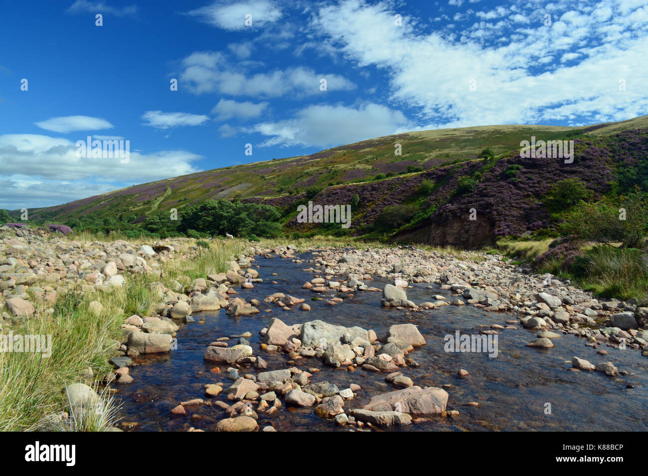 Harthope Tal, Northumberland Stockfoto