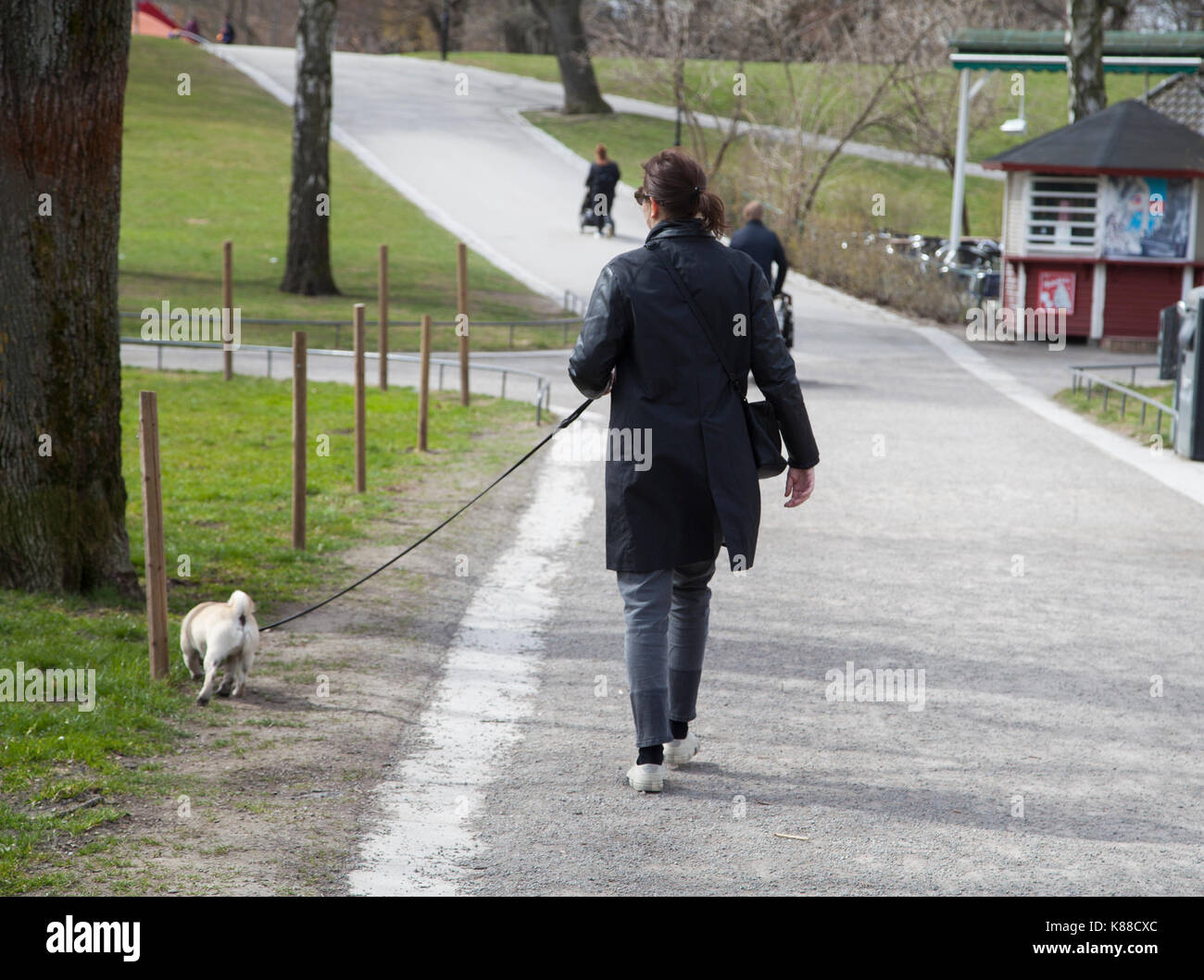 Hundehalter die Spaziergänge mit dem Hund in Vasaparken Stockholm 2017 Stockfoto
