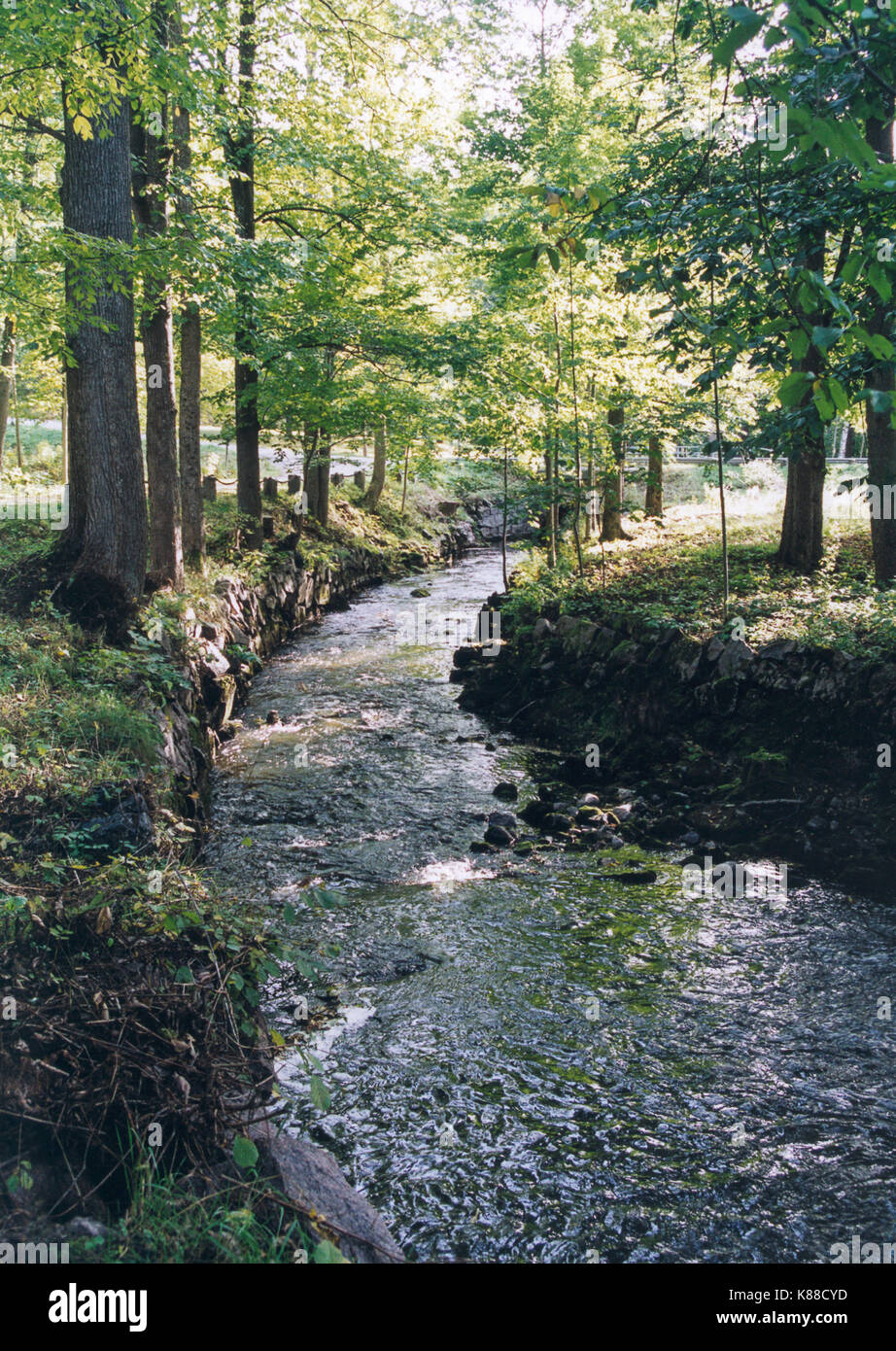 Stream fließen durch einen Laubwald Landschaft 2003 Stockfoto