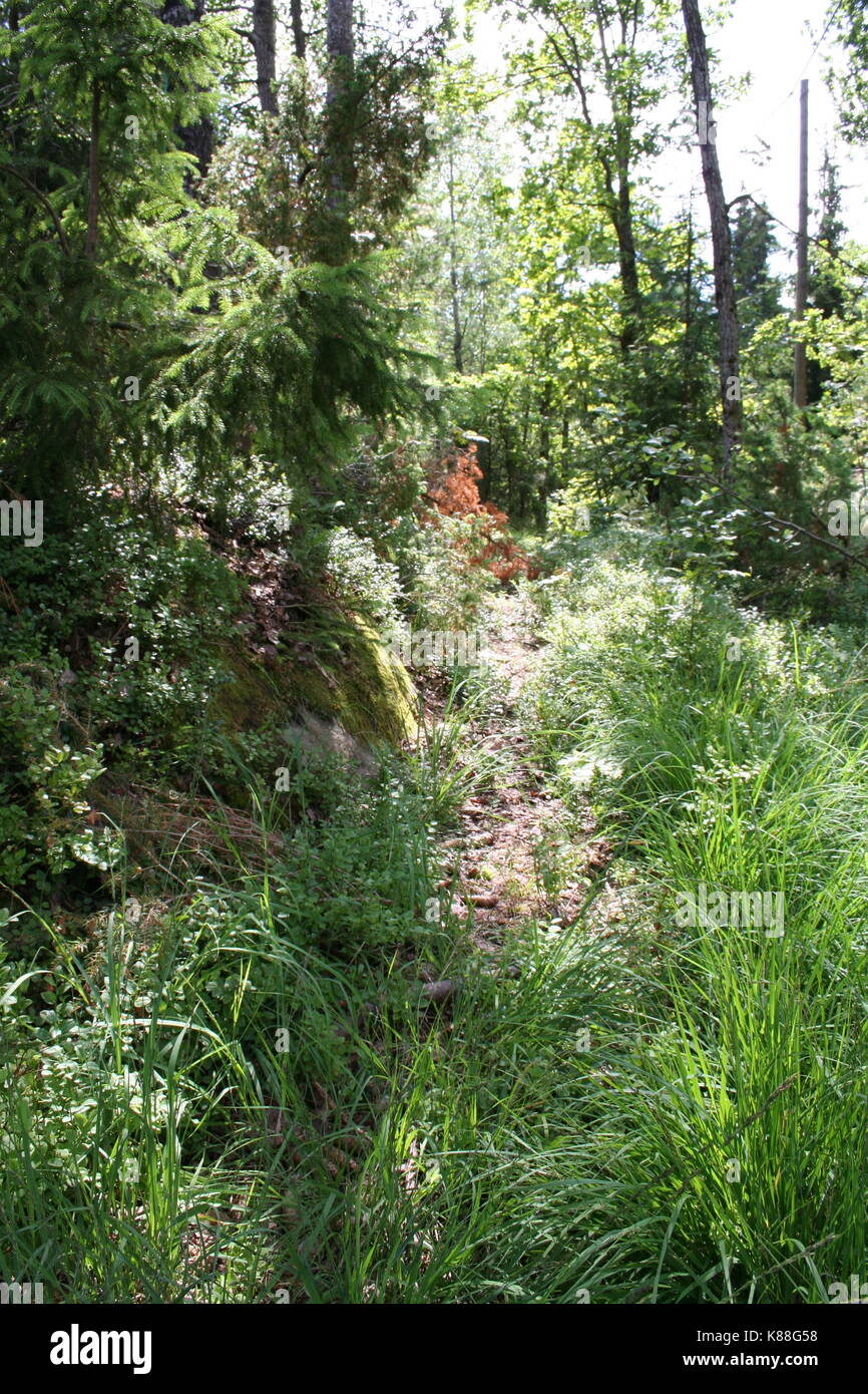 Unsortierte Bilder im Querformat (in Arbeit) Stockfoto