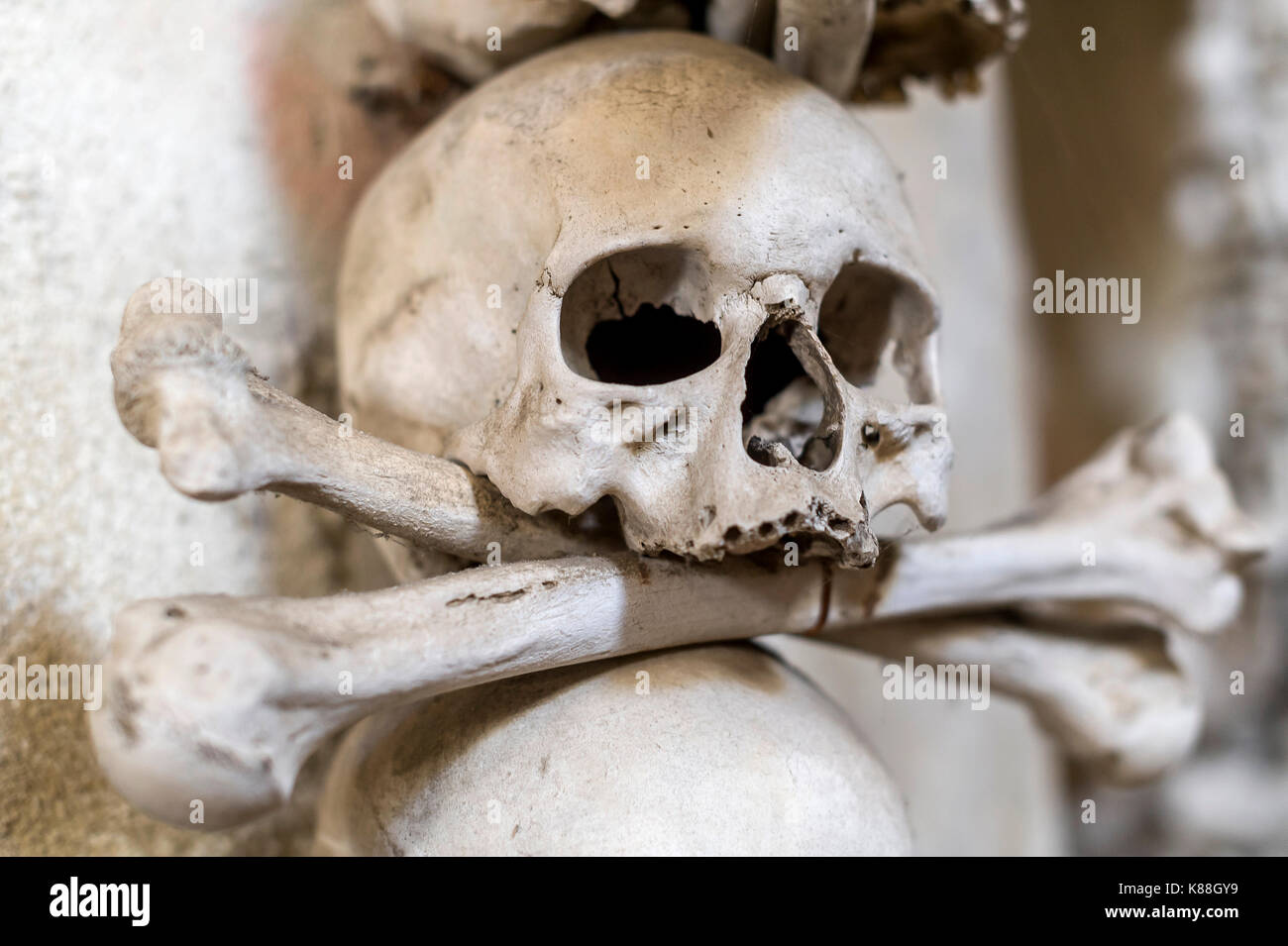 Details der Schädel im Sedlec-Ossuary Stockfoto