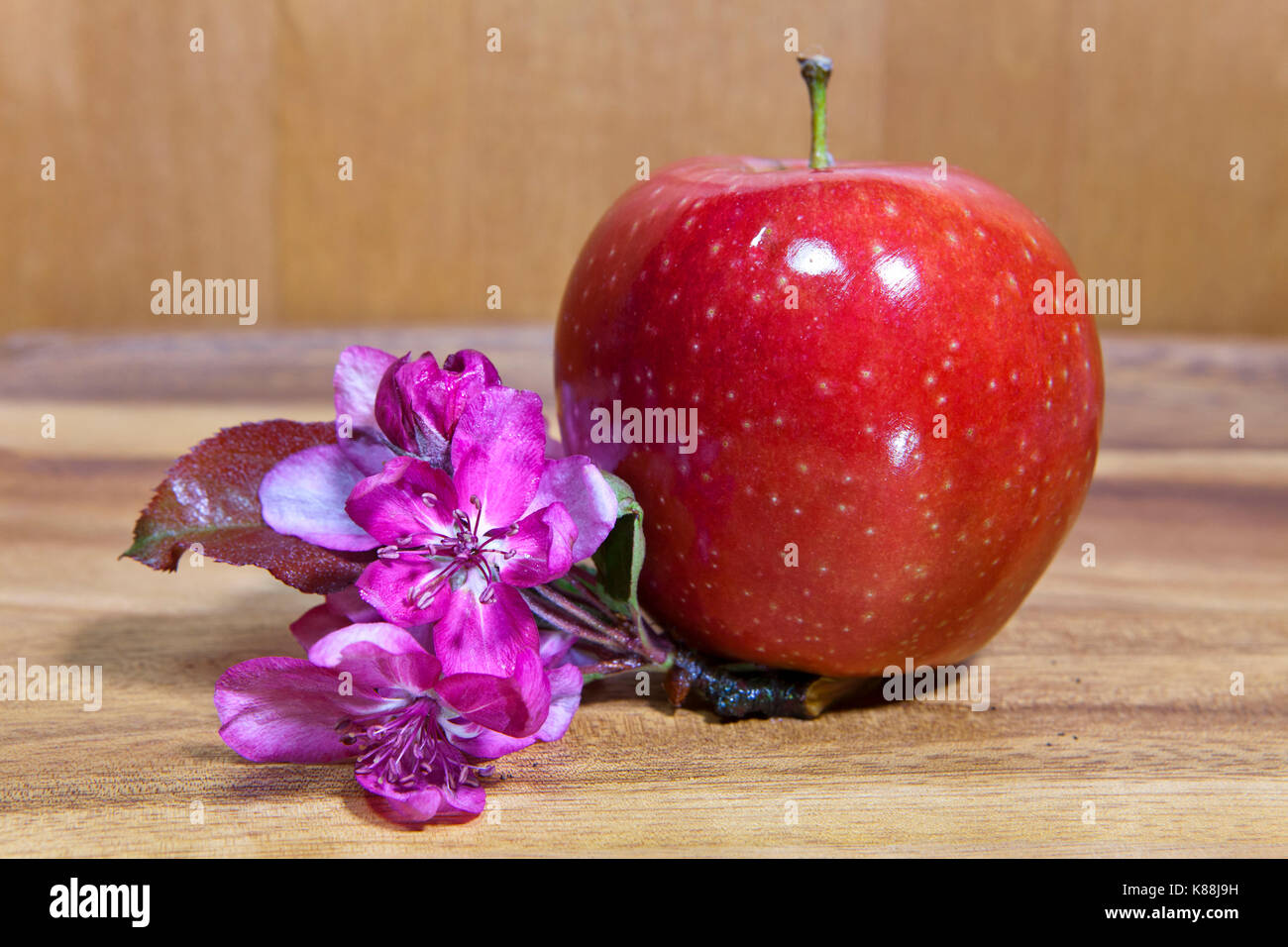 Apfel Dunkelrot Weies Fleisch