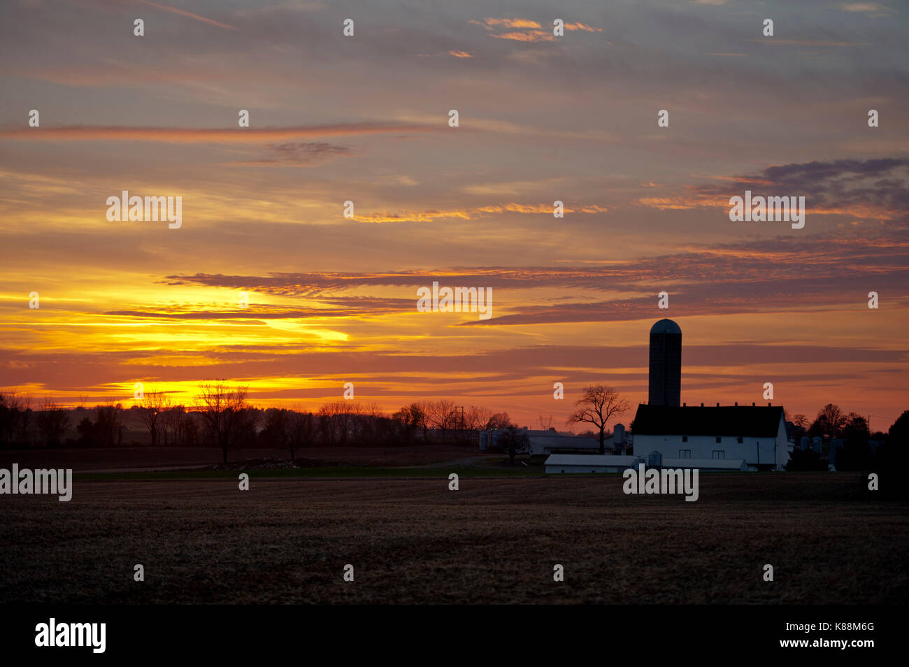 GOLDEN SUNSET ÜBER geernteten Sojabohnen FELD UND HOF Lititz, Pennsylvania Stockfoto
