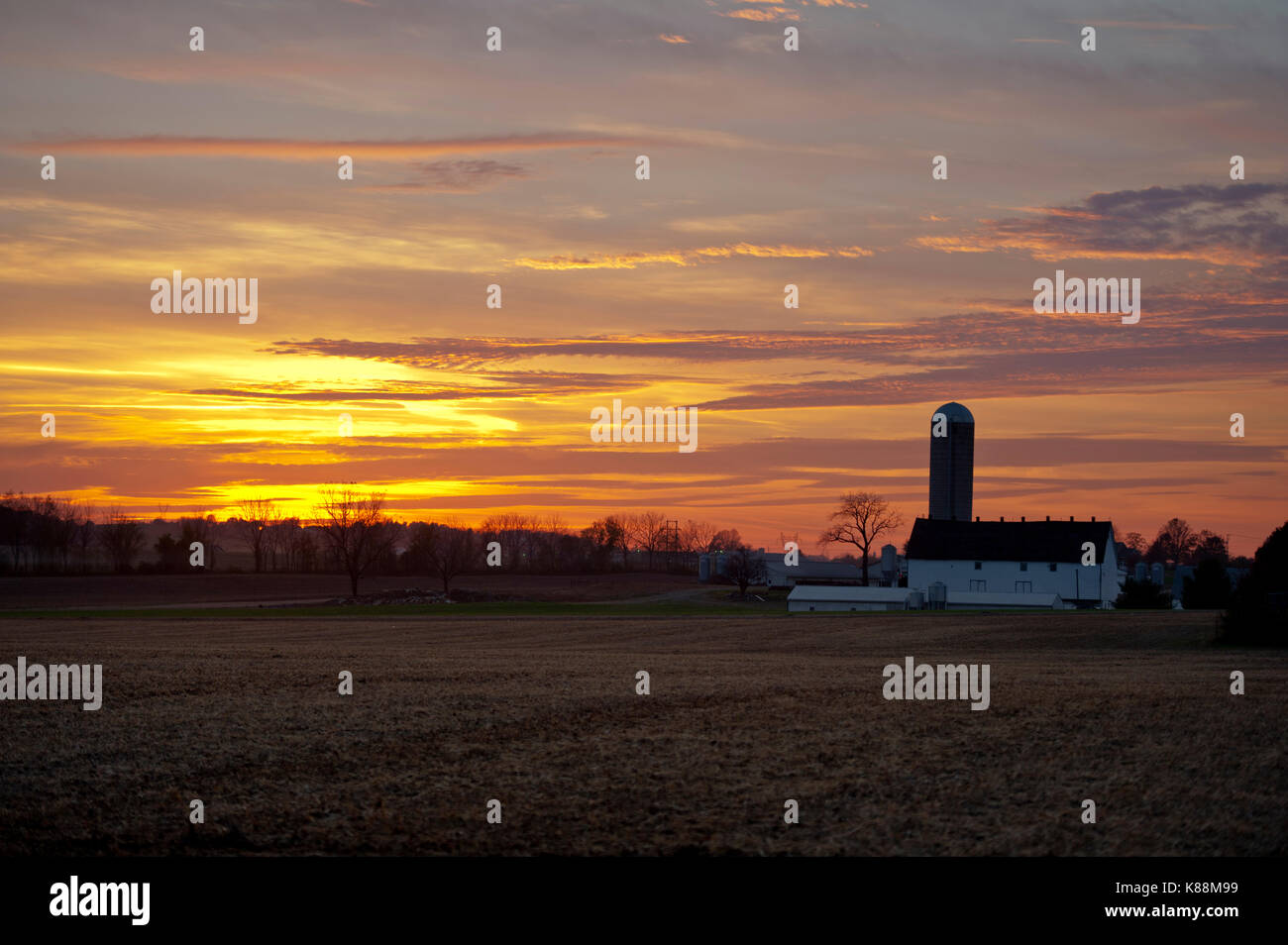 GOLDEN SUNSET ÜBER geernteten Sojabohnen FELD UND HOF Lititz, Pennsylvania Stockfoto