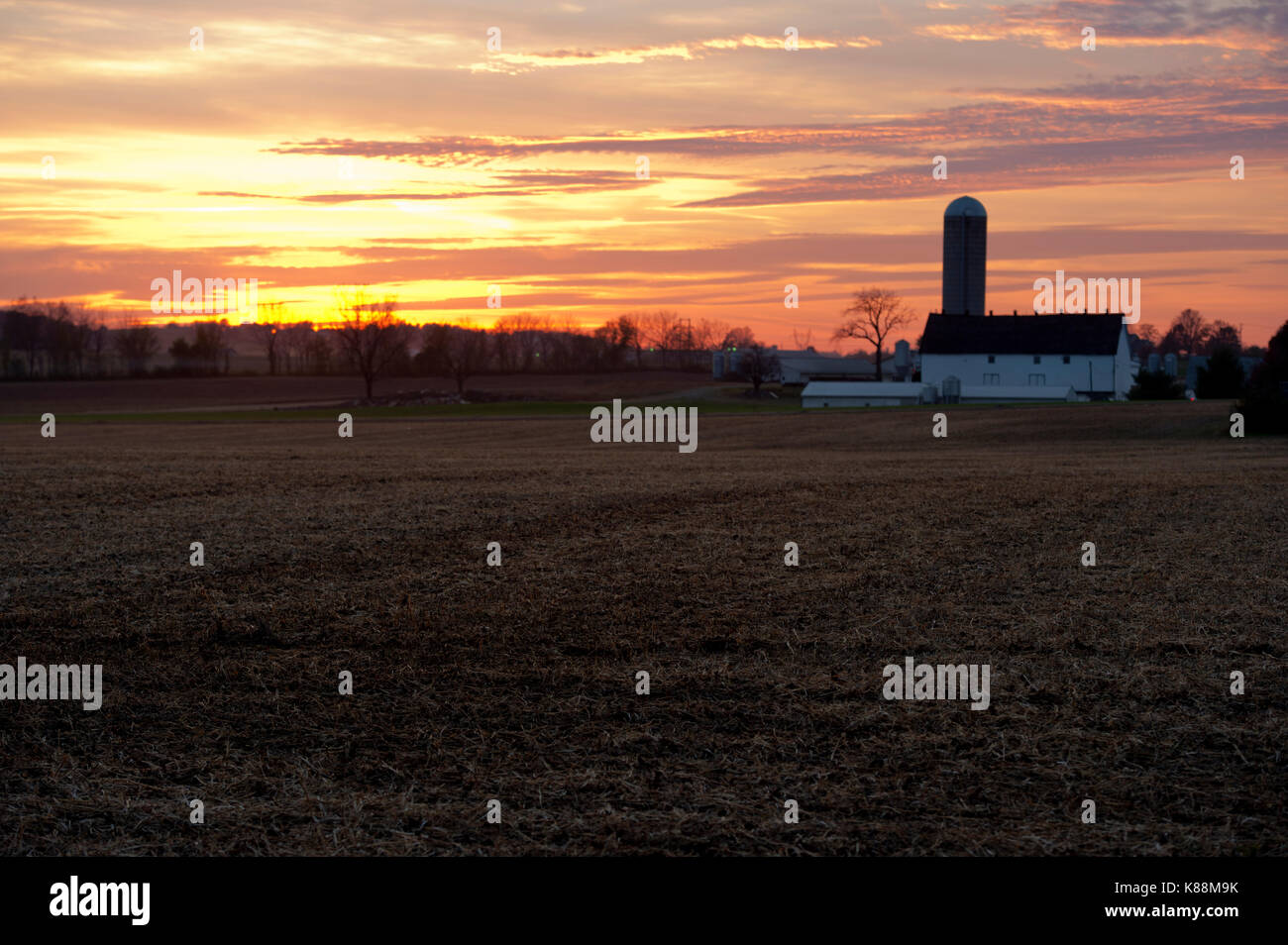GOLDEN SUNSET ÜBER geernteten Sojabohnen FELD UND HOF Lititz, Pennsylvania Stockfoto
