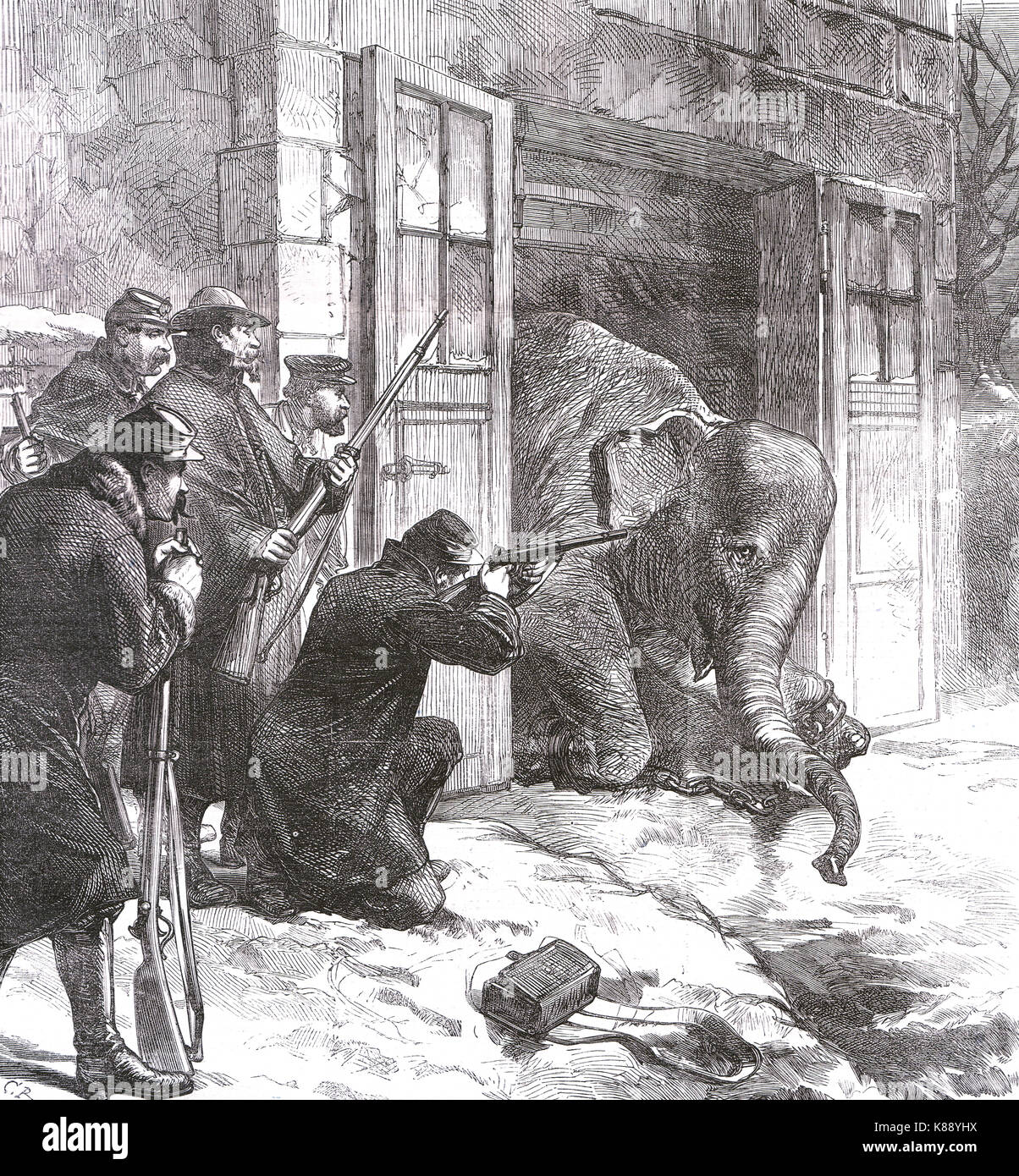 Tötung ein Elefant für Lebensmittel, Nahrungsmittelknappheit, Belagerung von Paris, Dezember 1870 Stockfoto