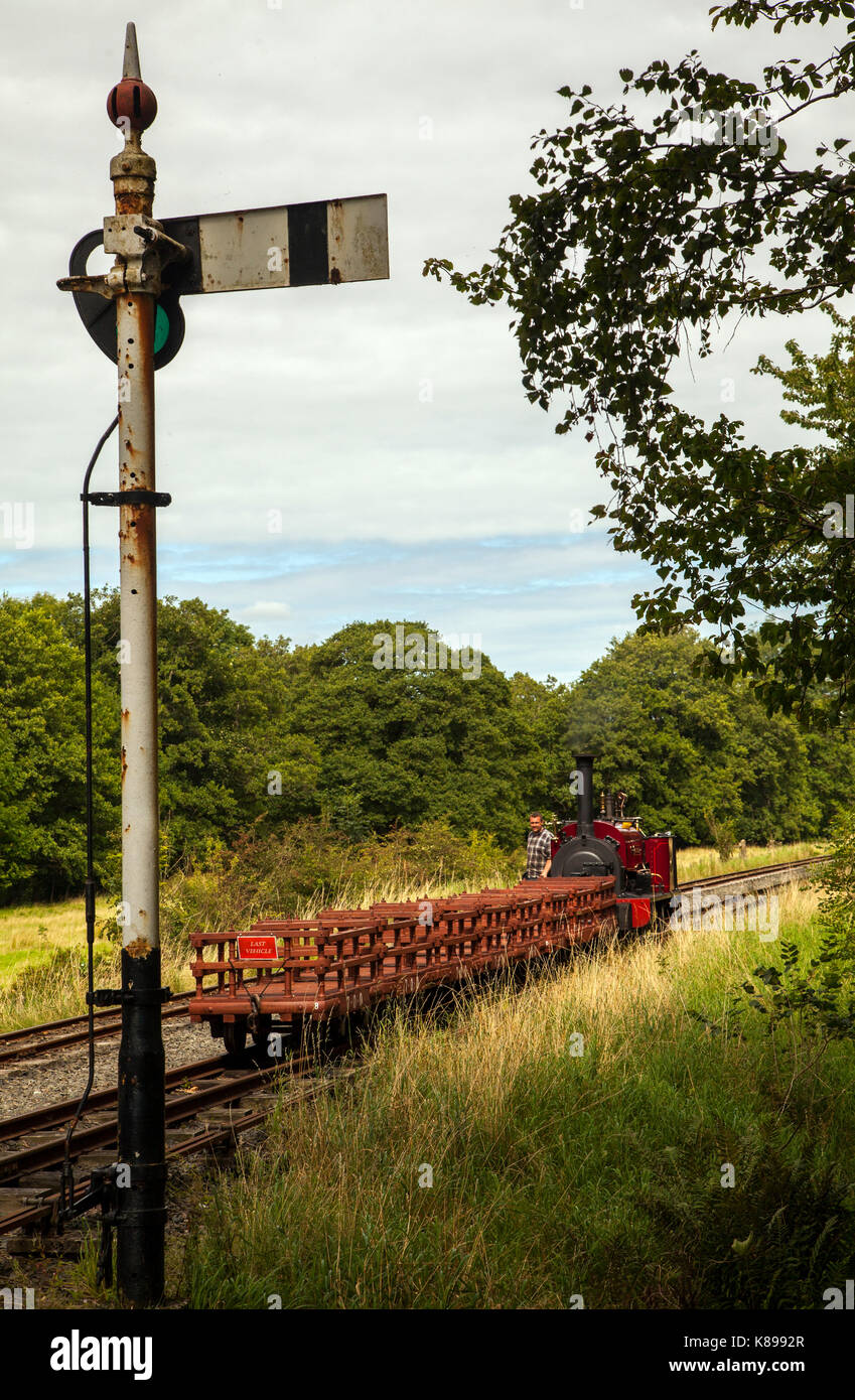 Dampfzug auf der Bala Lake Schmalspurbahn in North Wales Stockfoto