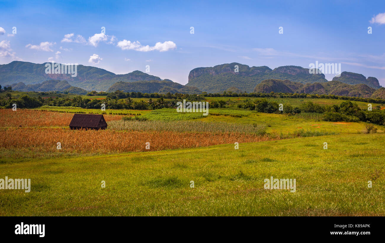 Bauernhof, Felder und mogotes im Tal von Vinales, Kuba Stockfoto