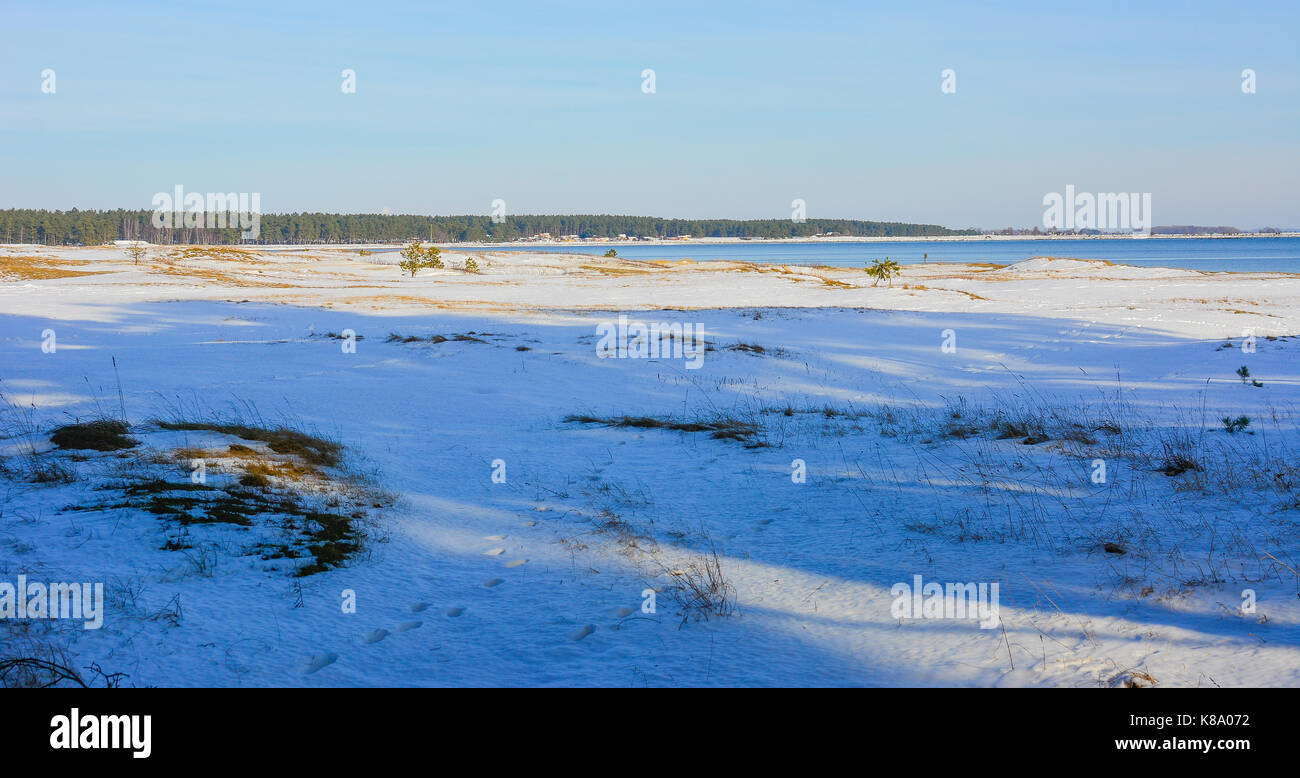 Dies ist der berühmte Strand außerhalb Ahus, Schweden Kantarellen, genannt. Das Foto wird genommen, wenn der Winter hier ist. Stockfoto