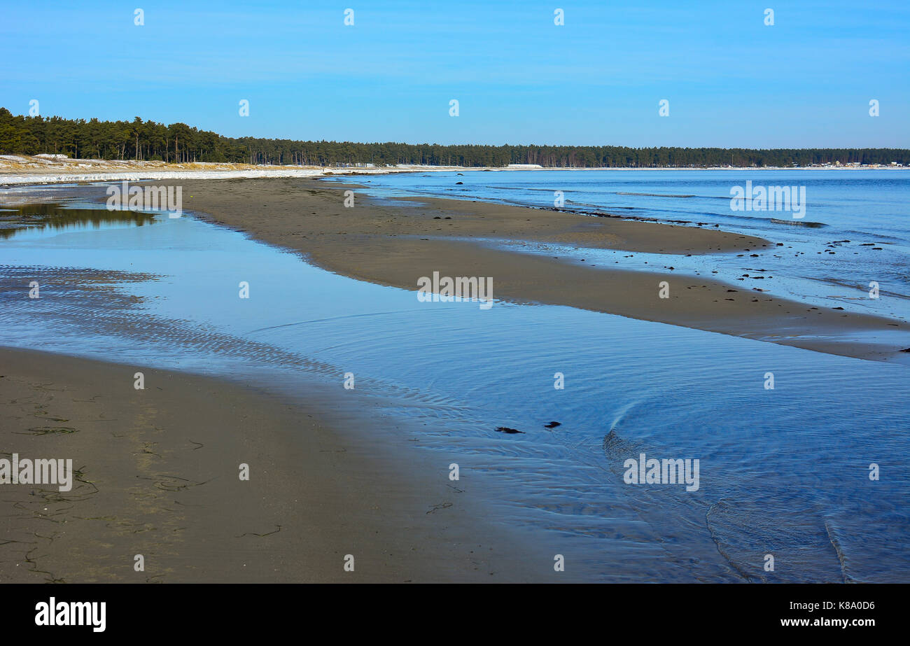 Dies ist der berühmte Strand außerhalb Ahus, Schweden Kantarellen, genannt. Das Foto wird genommen, wenn der Winter hier ist. Stockfoto