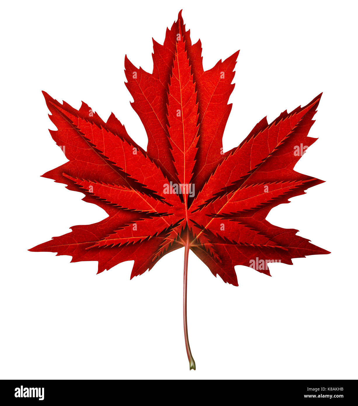 Kanadische Marihuana Cannabis Entkriminalisierung und Legalisierung in Kanada als ahorn rot Blatt mit einem Unkraut Symbol innen als entspannender. Stockfoto