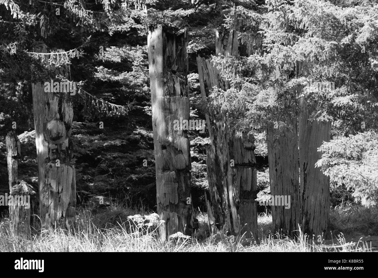 Die Beerdigung Pole, auch als Totempfähle bekannt, in SGang Gwaay Weltkulturerbe, Haida Gwaii, ersten Nationen, British Columbia, Kanada Stockfoto