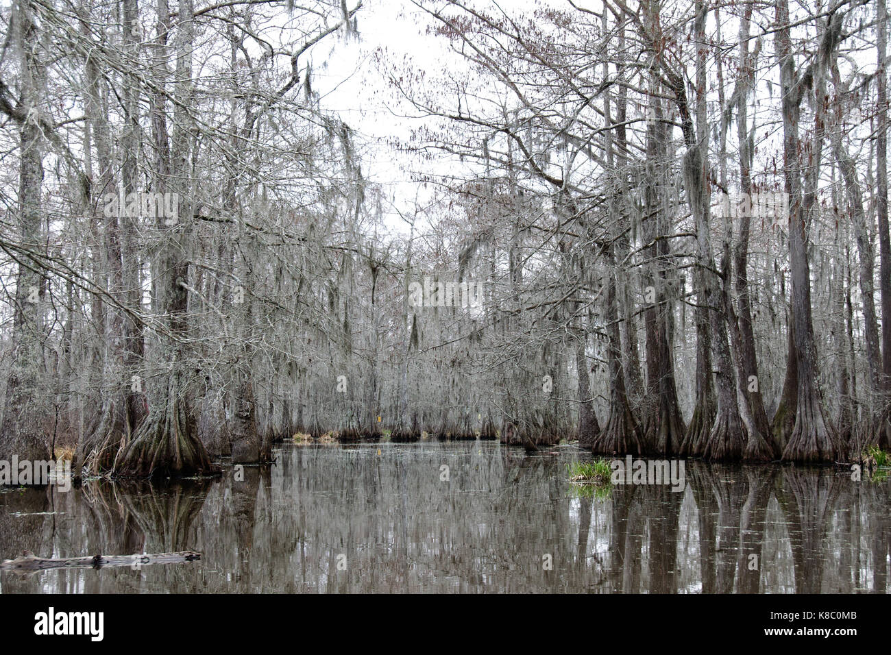 Blick auf den See Martin, Louisiana. Stockfoto