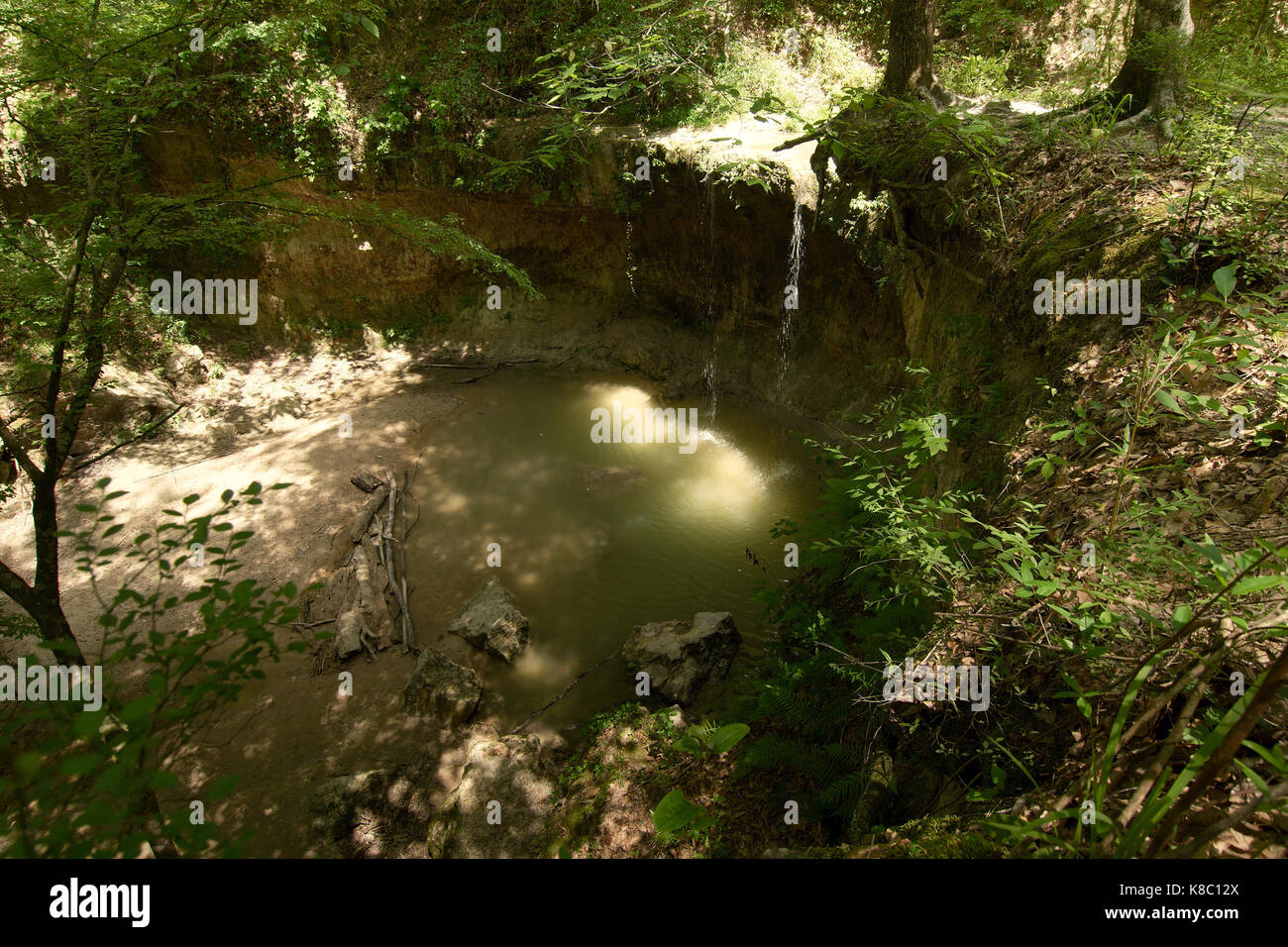Clark Creek Natural Area, Tunica, Mississippi Stockfoto