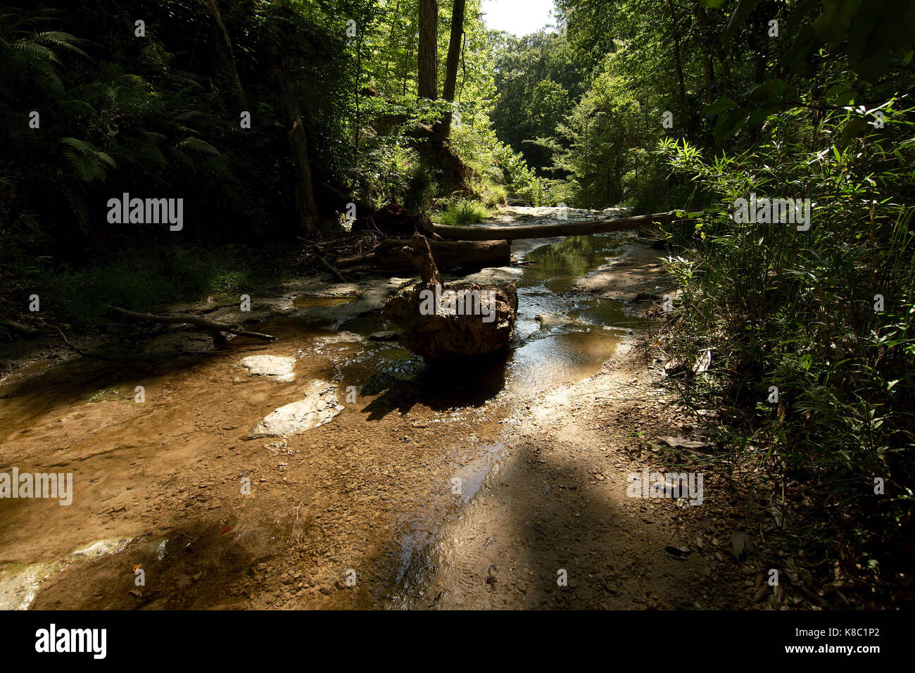Clark Creek Natural Area, Tunica, Mississippi Stockfoto