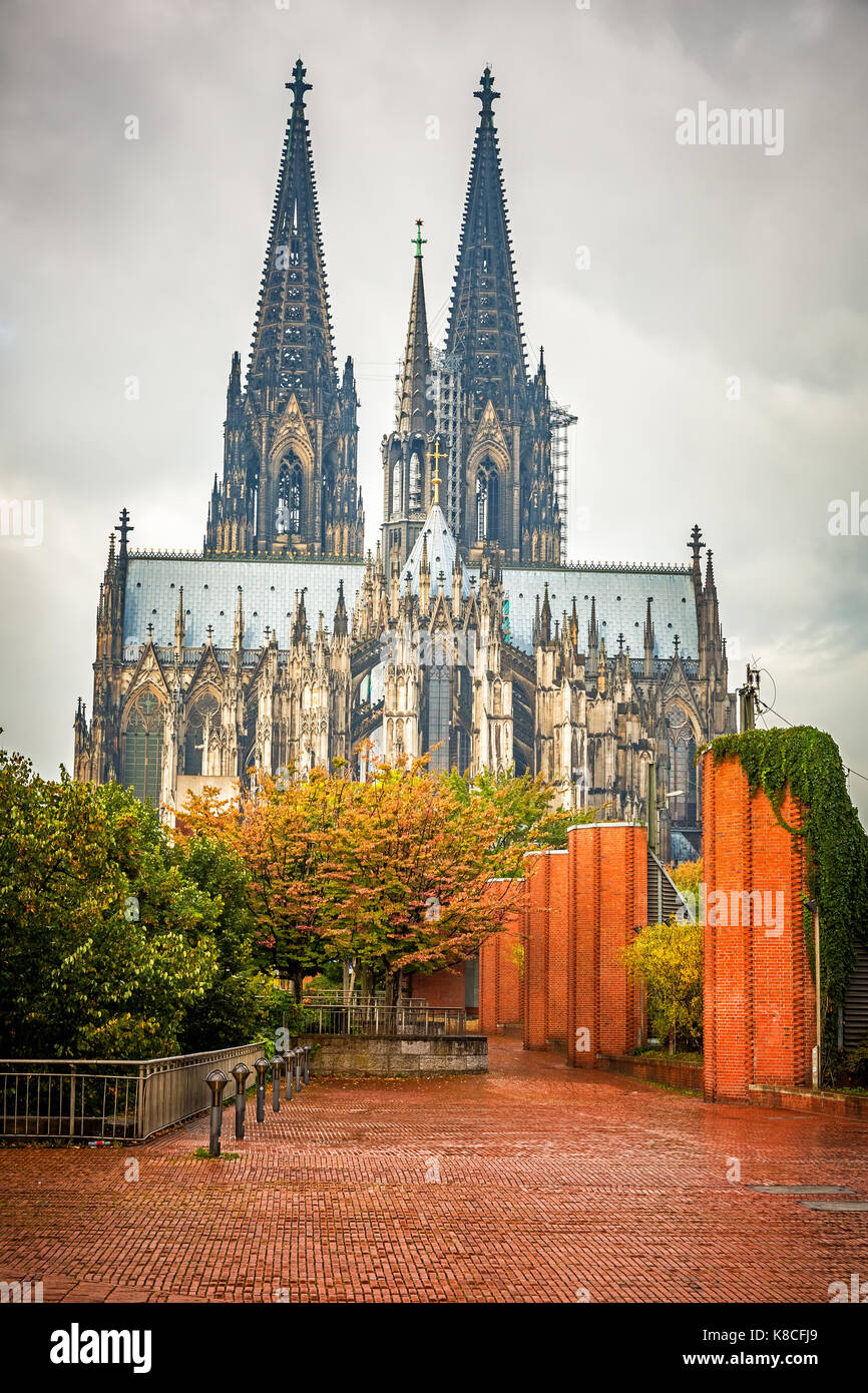 Kölner Dom, Deutschland Stockfoto