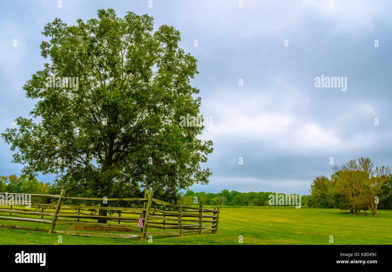 Die Mercer Eiche wurde zu Ehren von Brigadier General Hugh Mercer, gekämpft und war tödlich in der Schlacht von Princeton verwundeten genannt. Stockfoto