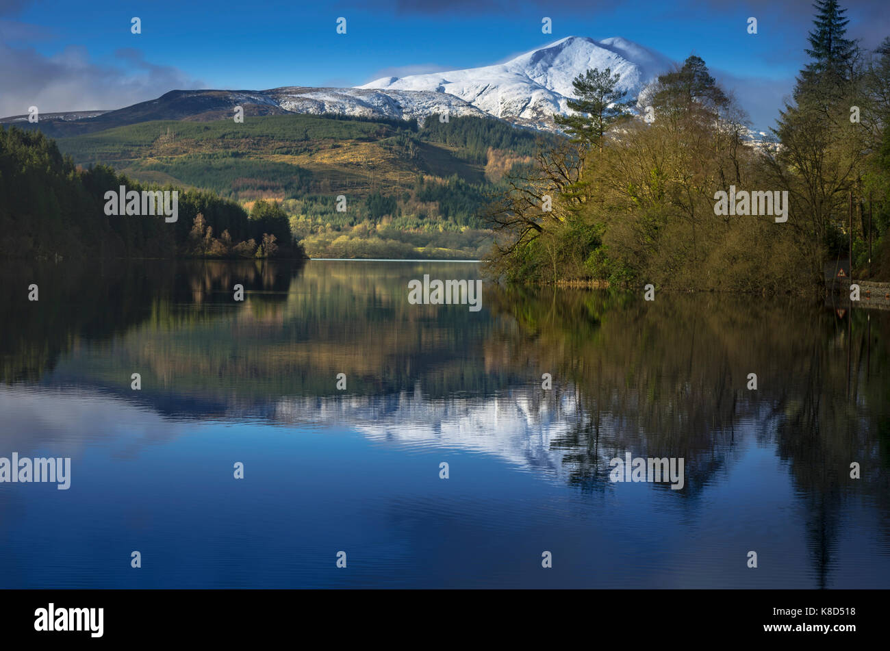 Ben Lomond spiegelt sich in der immer noch das Wasser des Loch Ard, die Trossachs, Schottland, Großbritannien Stockfoto