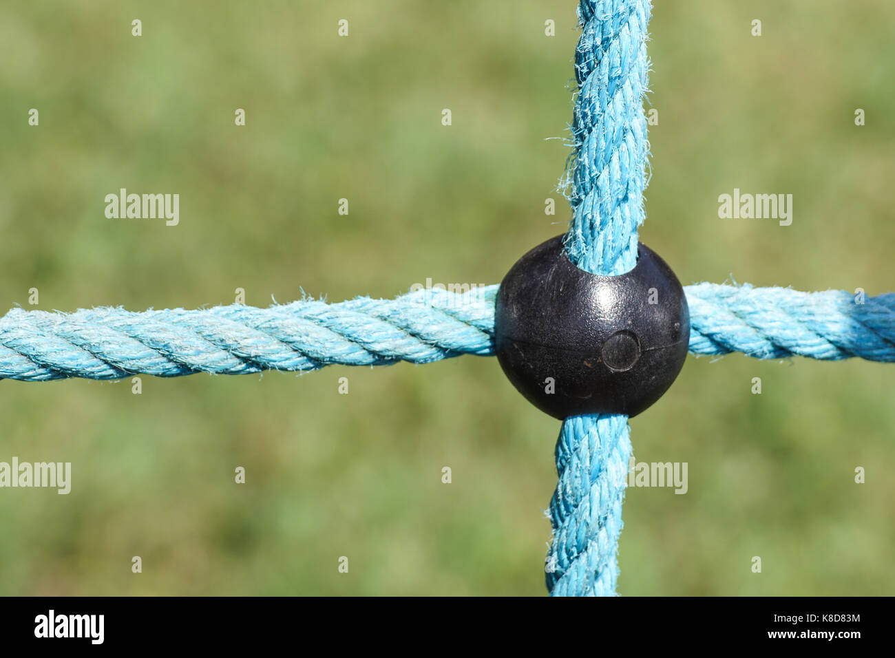 Detail der gekreuzte rote Seile in grünem Rücken Stockfoto