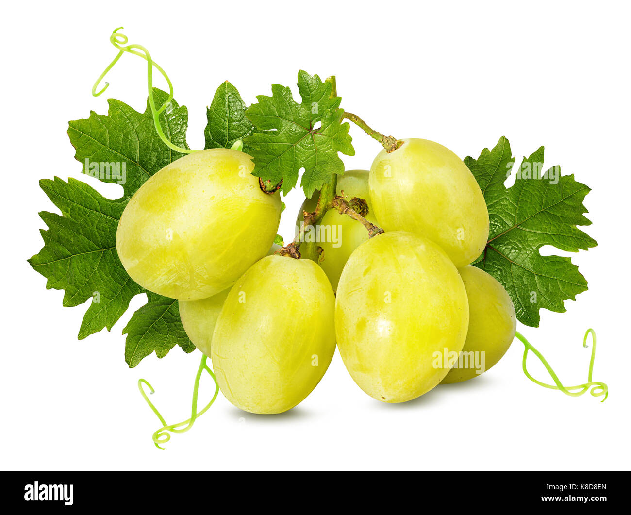 Trauben auf dem weißen Hintergrund isoliert Stockfoto