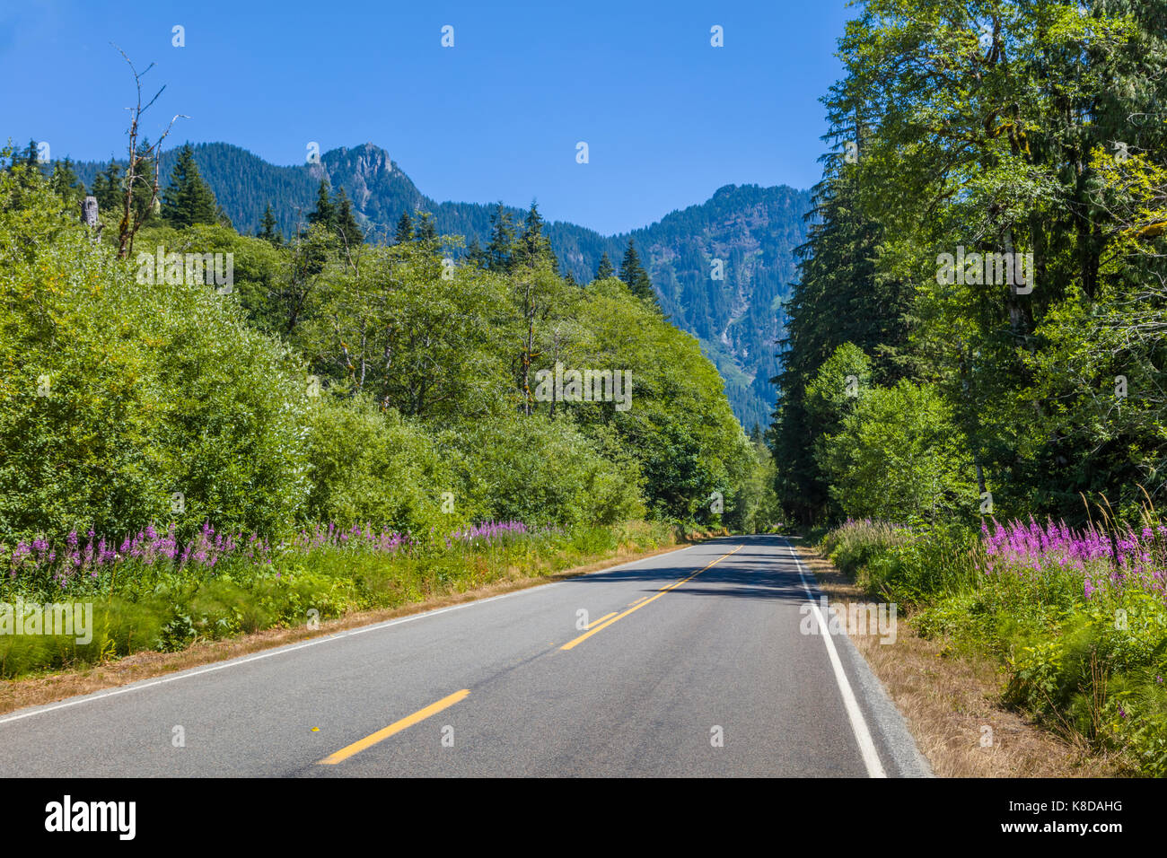 Mountain Loop Road im Nordwesten von Washington State Stockfoto