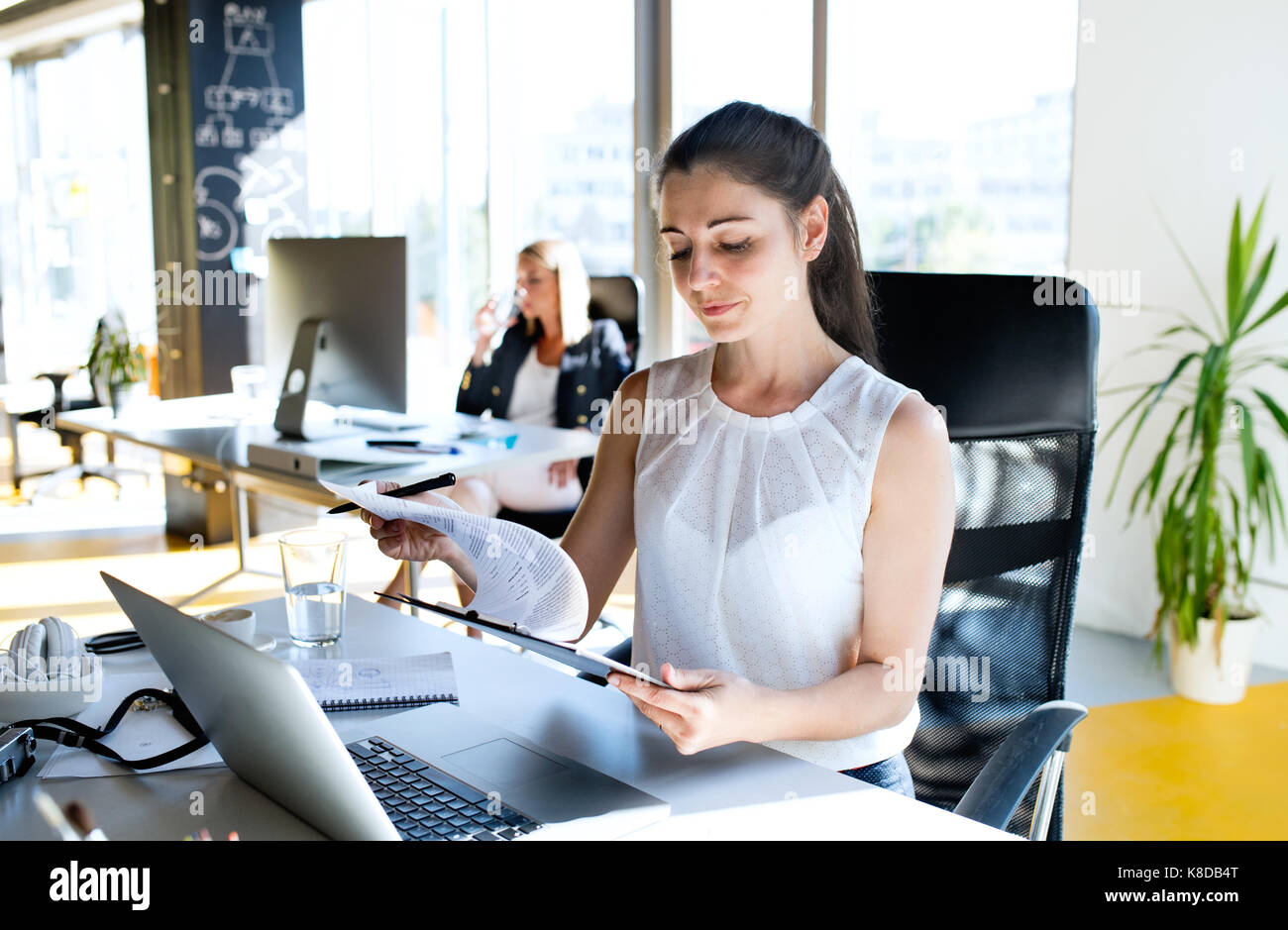 Zwei business Frauen im Büro arbeiten. Stockfoto