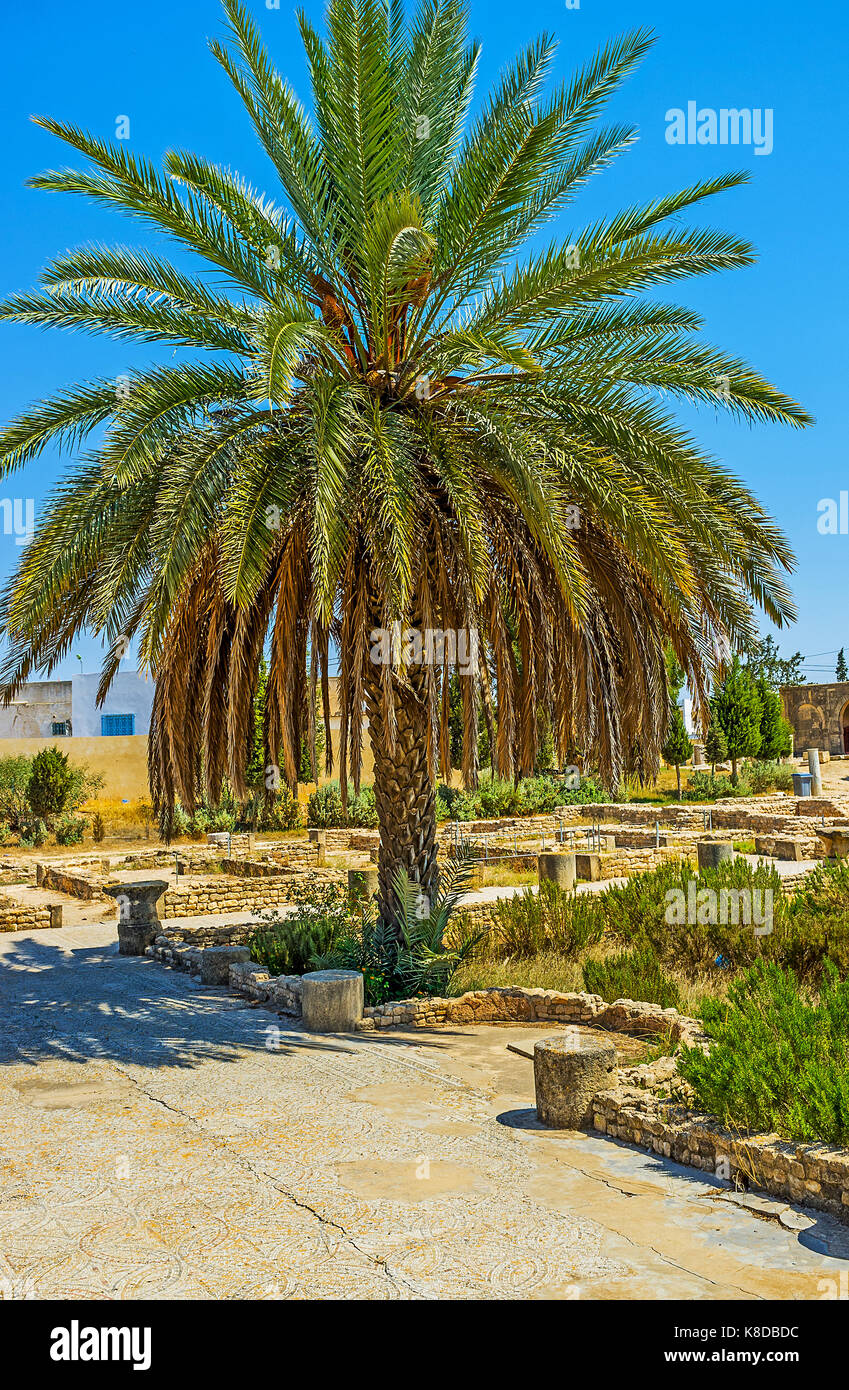 EL Djem, TUNESIEN - September 1, 2015: Die Stadt verfügt über das interessante archäologische Museum mit antiken römischen Mosaiken aus der antike Villen, auf Sep Stockfoto