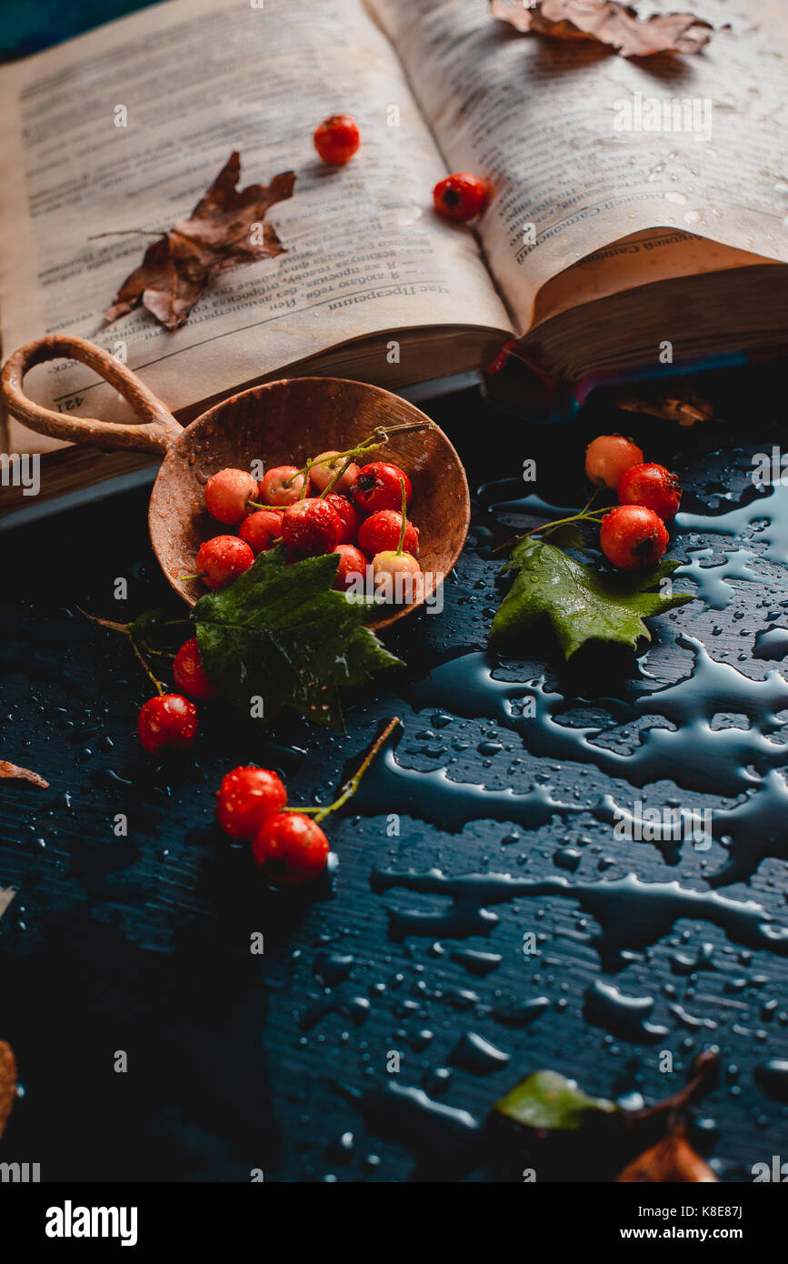Dunkle Herbst noch Leben mit offenem Buch, Laub, roten Beeren und Regen fällt auf einem nassen Hintergrund Stockfoto
