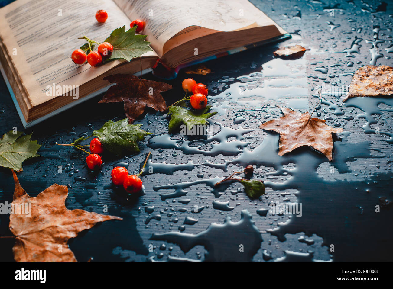 Dunkle Herbst noch Leben mit offenem Buch, Laub, roten Beeren und Regen fällt auf einem nassen Hintergrund Stockfoto