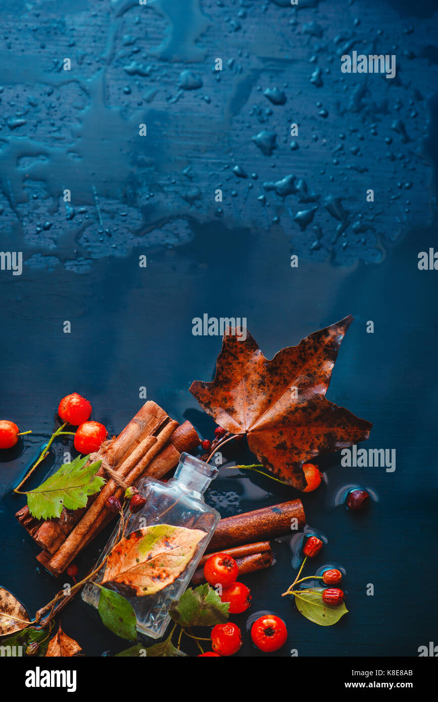 Glas Parfüm Flasche mit gefallenen Ahorn Blätter, rote Beeren, Zimt und Herbst regen auf ein nasses Holz- Hintergrund Stockfoto