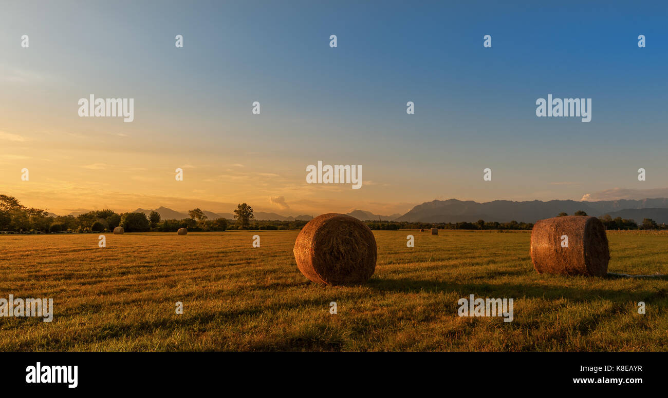 Landschaft Landschaft. Heuballen auf Feld bei Golden Sunset. Ländliche Szene. Stockfoto