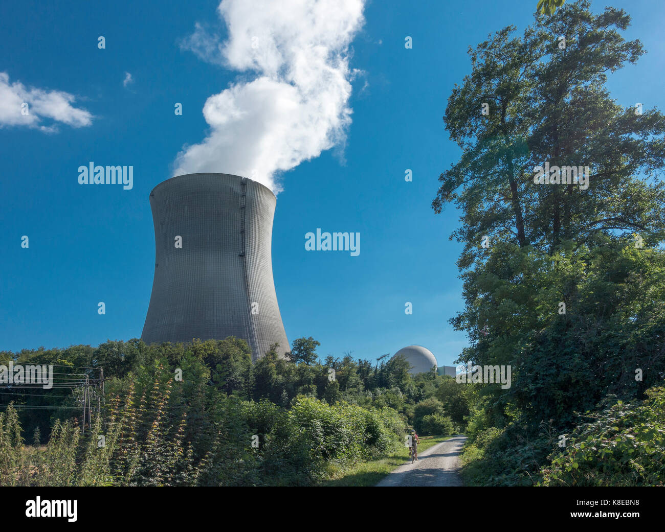 Schweizer Kernkraftwerk Leibstadt am Rhein, Radweg am Rhein entlang der Route, Full-Reuenthal, Aargau, Schweiz Stockfoto