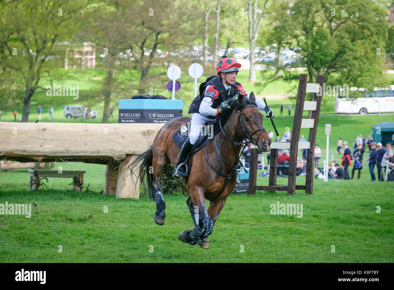 Reiter und Pferd auf dem cross country Kurs an der Albany International Horse Trials Stockfoto