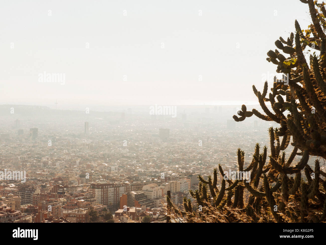 Blick auf die Stadt, Kaktus Pflanze im Vordergrund, Barcelona, Katalonien, Spanien Stockfoto