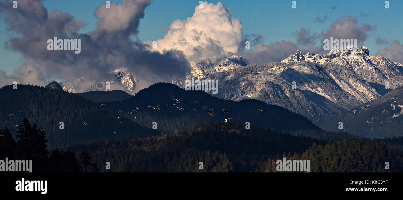 Panoramablick auf Vögel gegen Berge und bewölkter Himmel fliegen Stockfoto