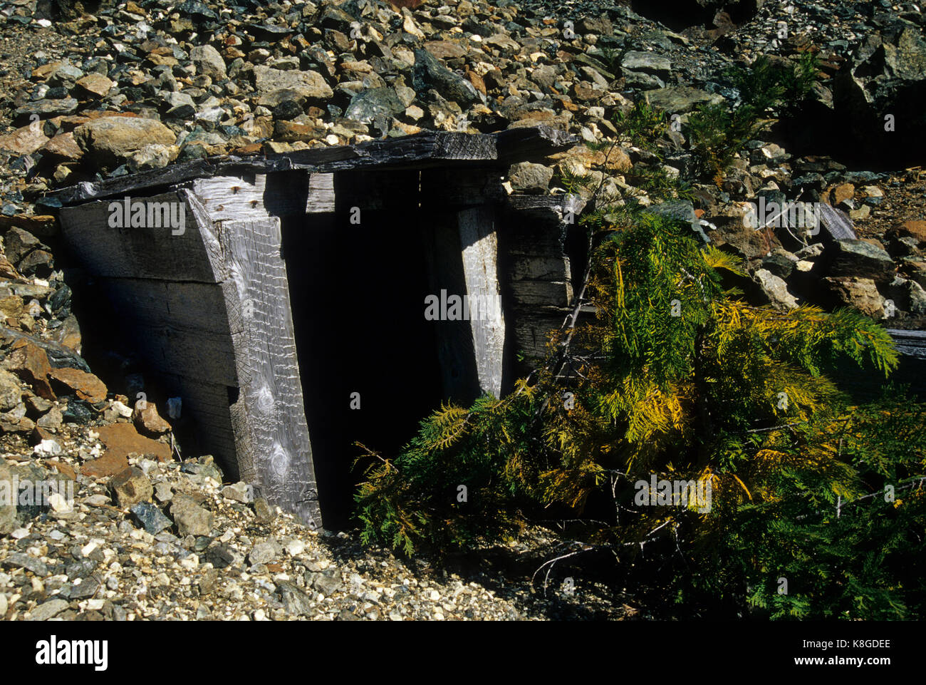 Gardner Mine Ruinen, Kalmiopsis Wilderness, Siskiyou National Forest, Oregon Stockfoto