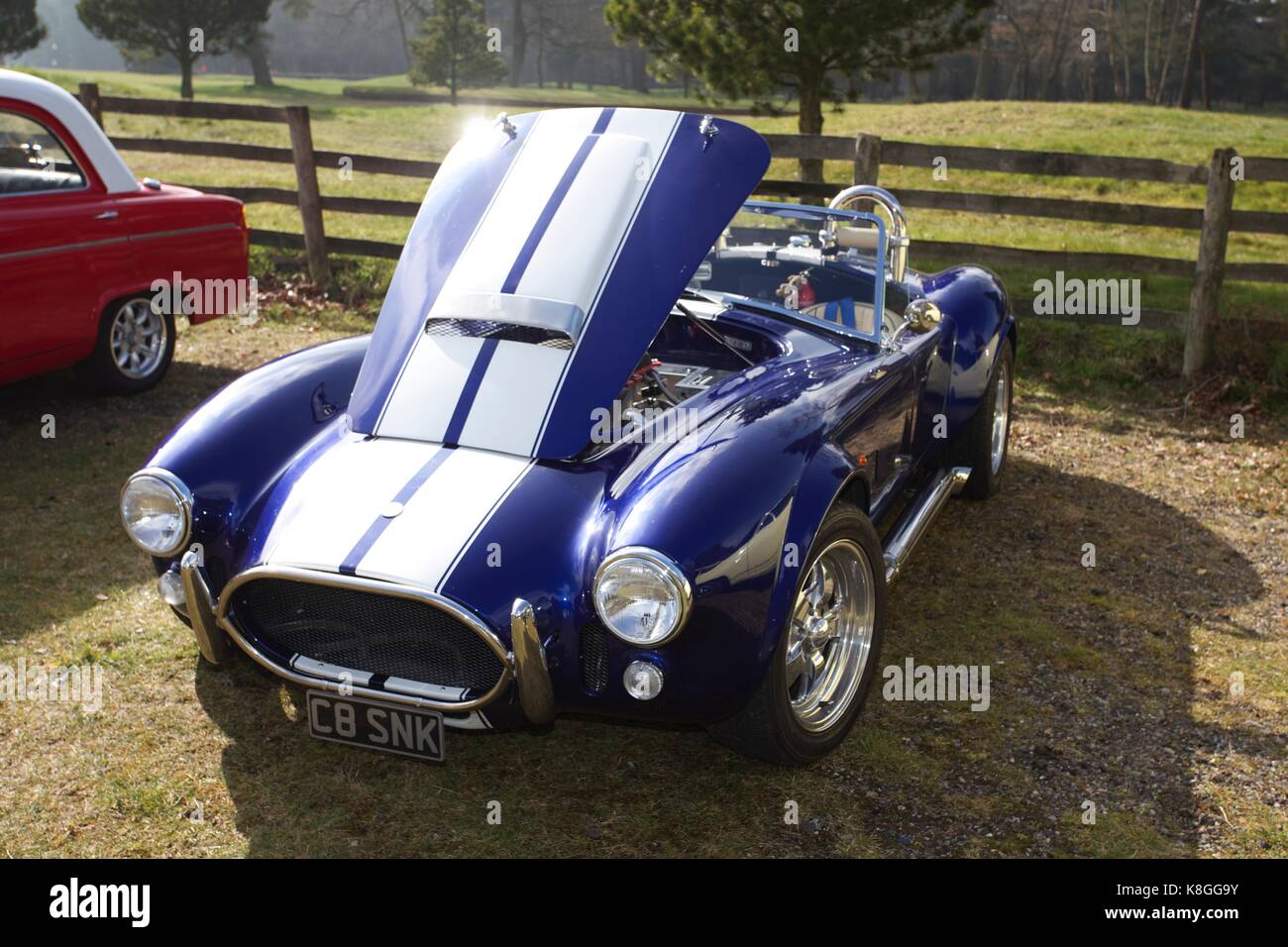 Ac cobra Stockfoto