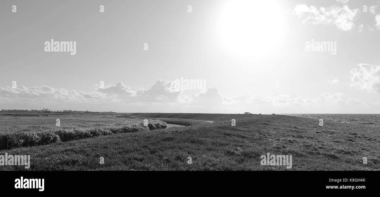 Führende Leitungen zu den Horizont an einem schönen sonnigen Tag mit Schafen und Wolken. Stockfoto