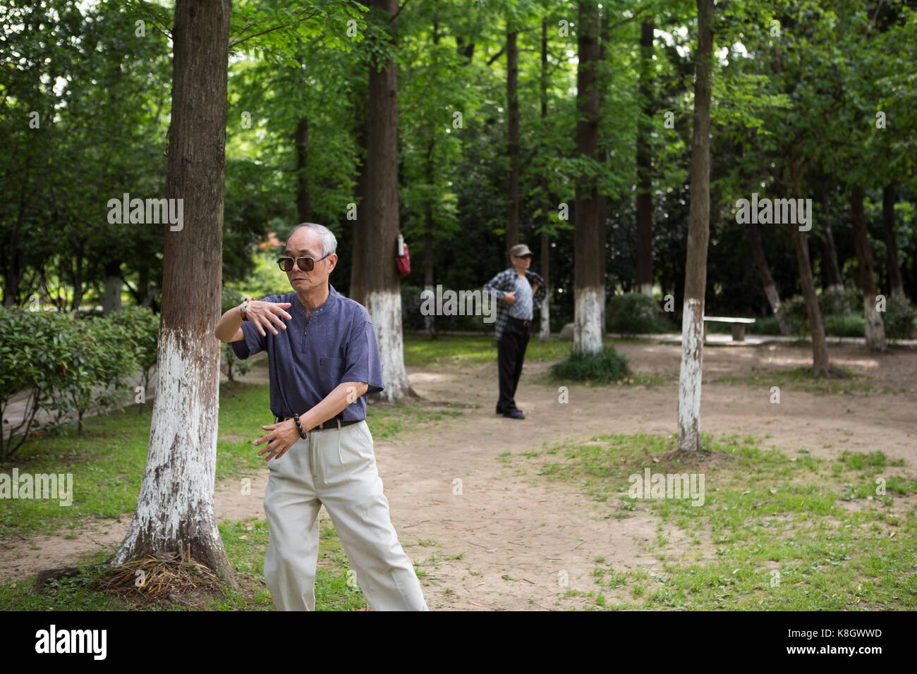Sportliche Chinesischer Mann Praxis Tai Chi im Park China Stockfoto
