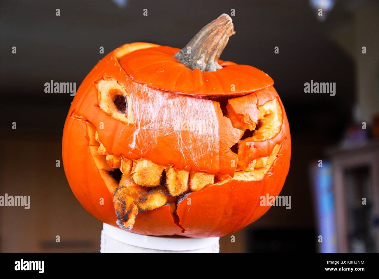 Vogelscheuche Im Zauberer Von Oz Stockfotos Und Bilder Kaufen Alamy