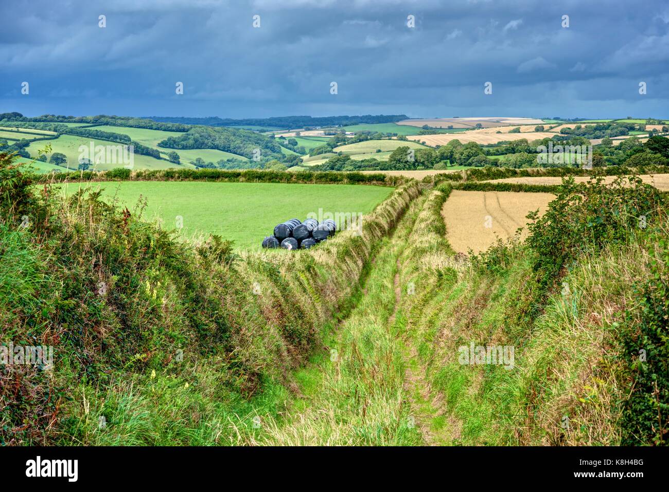 Landschaft von Cornwall patchwork Ackerland im Sommer. Das Foto ist von Lanteglos Autobahn über South East Cornwall, eine abgesicherte Green Lane. Stockfoto