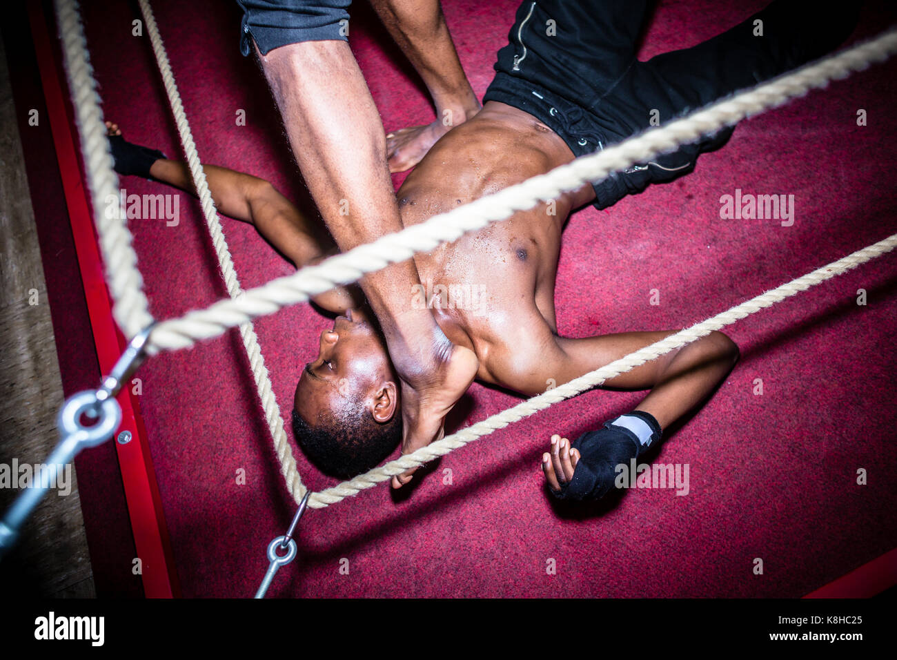 Unbewusste MMA-Kämpfer nach unten auf dem Boden liegen nach der endgültigen Kno Stockfoto