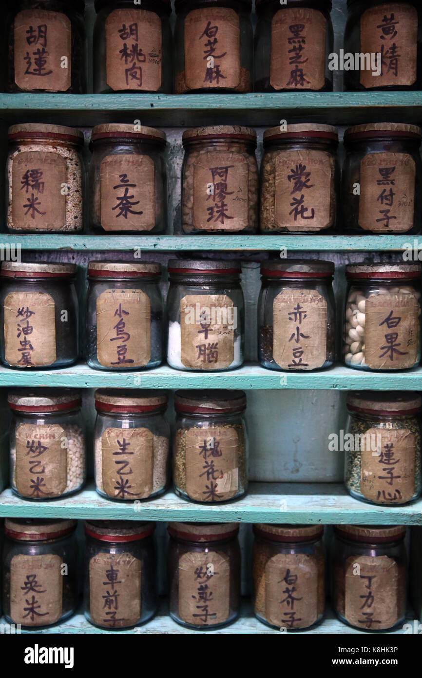 Traditionelle chinesische Medizin Apotheke. ho Chi minh Stadt. vietnam. Stockfoto