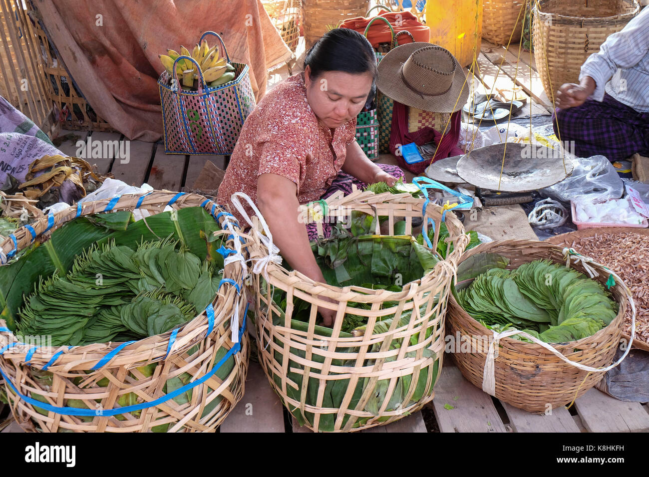 Burma, Myanmar: Frau und betelblätter an NamPan Markt, Inle See. Stockfoto