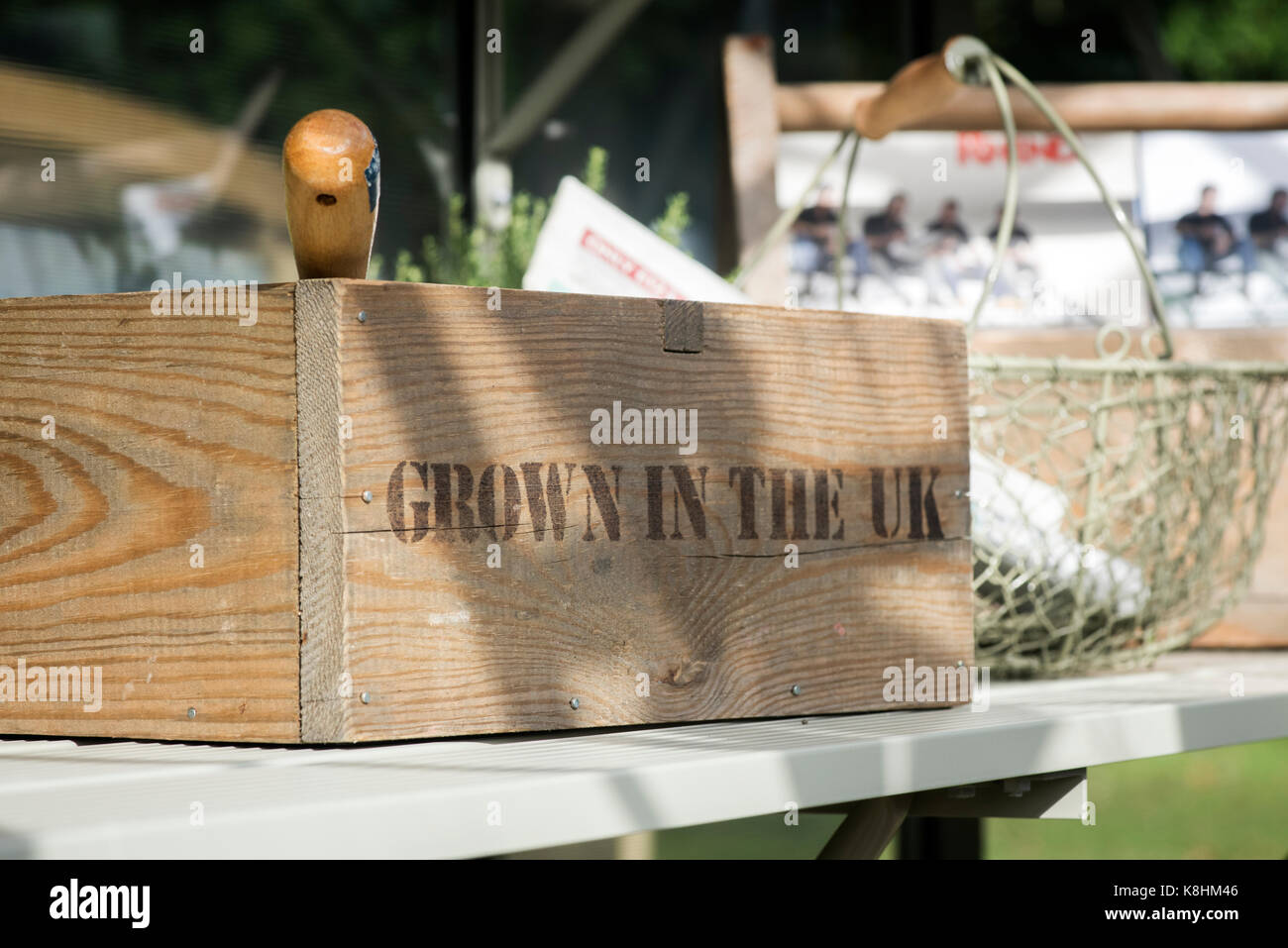 Aufgewachsen in Großbritannien stenciled Holzkiste in einem Gewächshaus einer Gärtnerei an der RHS Wisley Herbst flower show. Surrey. Großbritannien Stockfoto