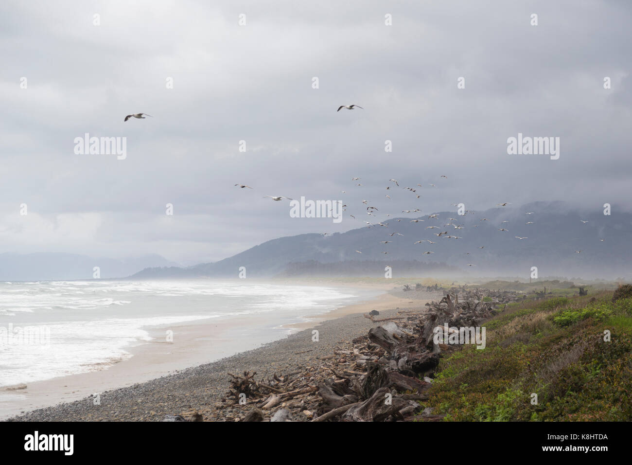 Malerischer Blick auf Vögel über Strand fliegen gegen bewölkter Himmel Stockfoto